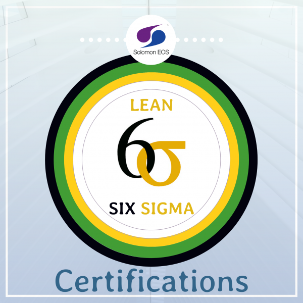 Lean Six Sigma Certification logo